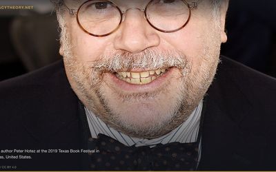 Aluminum Adjuvants in Vaccines