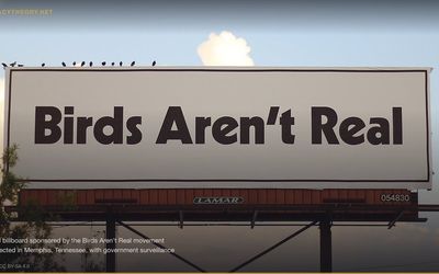 Birds Aren't Real