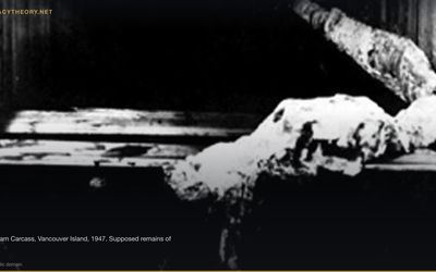 Cadborosaurus — Pacific Coast Sea Serpent