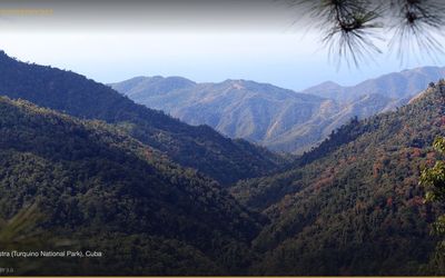 CIA 638+ Assassination Attempts on Castro