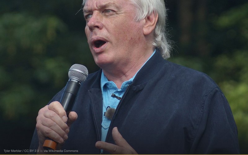 Дэвид Айк в 2013 году — related to David Icke & The Reptilian Elite Theory