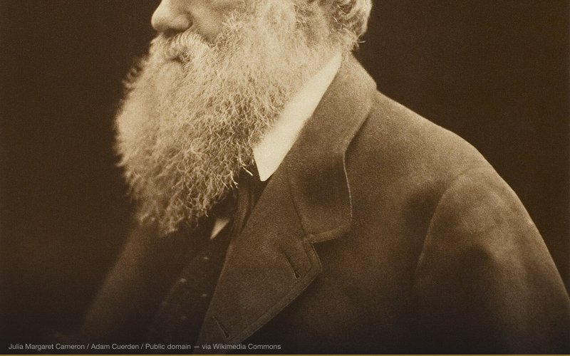 Carbon print of a photograph of Charles Darwin. Image/paper: 26.9 × 21.6 cm (10 5/8 × 8 9/16 in.); Mount: 33.8 × 28.1 cm (13 5/16 × 11 1/8 in.) — related to Evolution as Conspiracy Against God