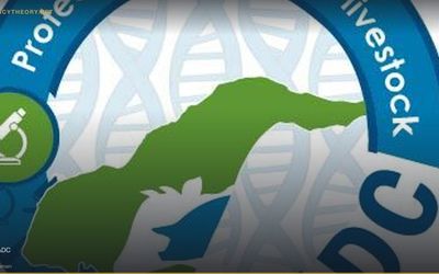 Lyme Disease Escaped from Plum Island Lab