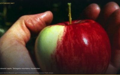 Planned Obsolescence Conspiracy