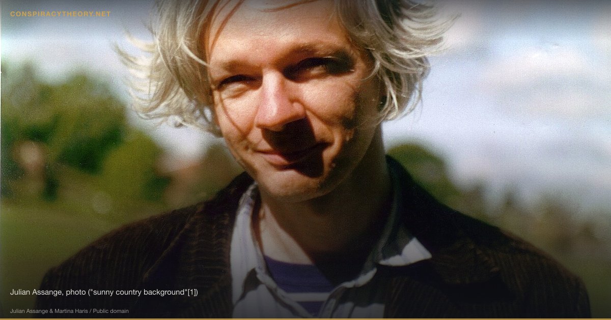 Seth Rich DNC Leak Murder Conspiracy (2016) — Julian Assange, photo ("sunny country background"[1])