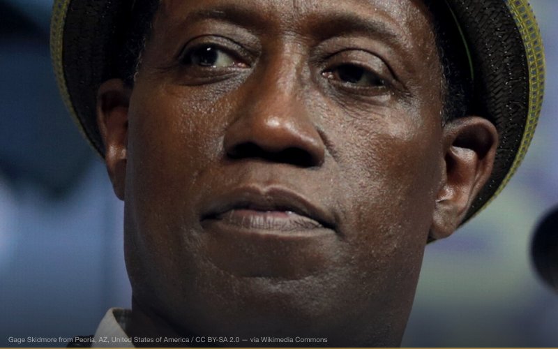 Wesley Snipes speaking at the 2018 San Diego Comic Con International, for "Cut Throat City", at the San Diego Convention Center in San Diego, California. Please attribute to Gage Skidmore if used elsewhere. — related to Tax Protester Conspiracy Theories