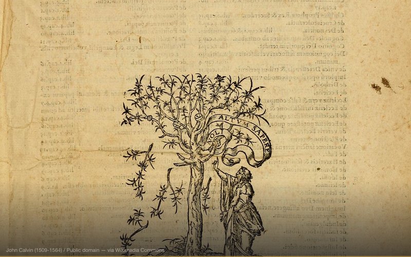 Institutio Christianae religionis (Institutes of Christian religion). Geneva: Robert Estienne, 1559. "This is the definitive and fourth edition of Calvin's compendium of reformed theology; the first edition was published in 1536. Calvin wrote the Institutes as an introductory textbook on the Protestant religion, revising the work several times over his lifetime." — related to True Cross Fragment Industry / Relic Fraud