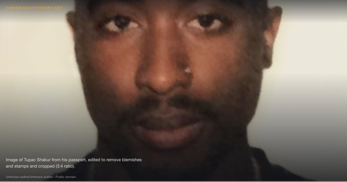 Tupac Shakur Faked His Death (1996) — Image of Tupac Shakur from his passport, edited to remove blemishes and stamps and cropped (3:4 ratio).
